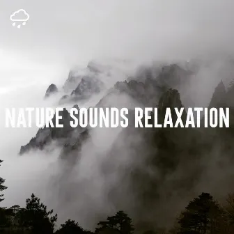 Nature Sounds Relaxation by Nature Sounds Collective