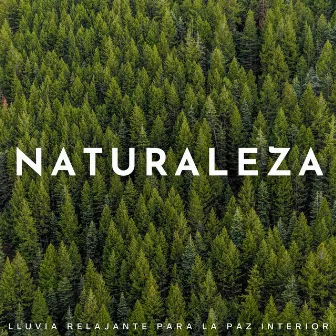 Naturaleza: Lluvia Relajante Para La Paz Interior by Lluvia y Naturaleza