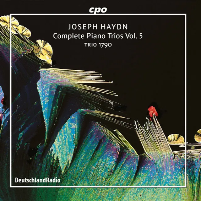 Piano Trio No. 39 in G Major, Op. 82 No. 2, Hob. XV:25 "Gypsy": I. Andante