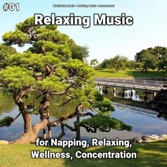 #01 Relaxing Music for Napping, Relaxing, Wellness, Concentration by Meditation Music