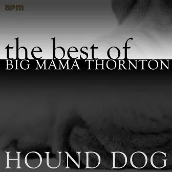 Hound Dog: The Best Of by Big Mama Thornton