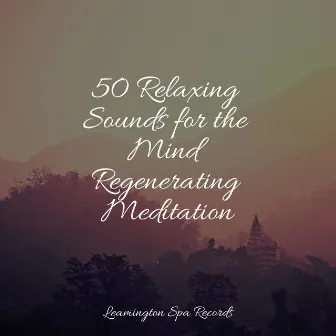 50 Relaxing Sounds for the Mind Regenerating Meditation by Spa & Spa