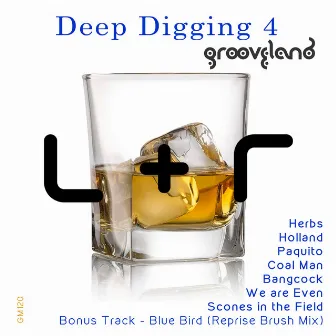 Deep Digging 4 by Luchi & Raizer