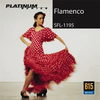 Flamenco by Unknown Artist