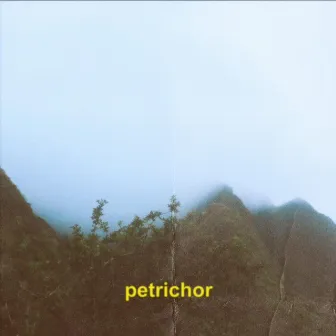 petrichor by Kevin Hutchens