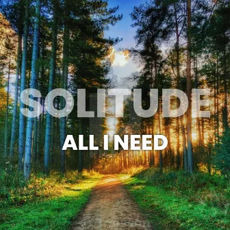 Solitude - All I Need by the | Dave Ellis