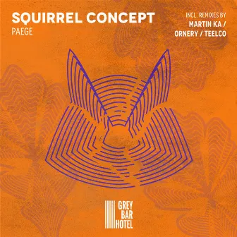 Squirrel Concept by Paege