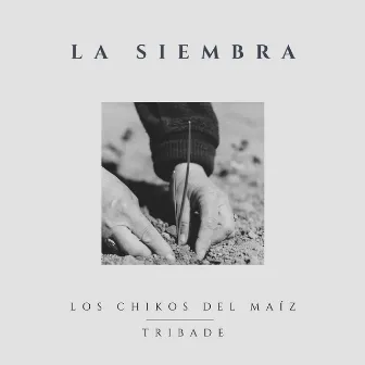 La Siembra by Tribade