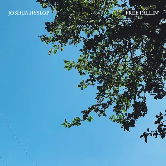 Free Fallin' by Joshua Hyslop