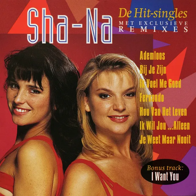 De Hit-Singles - (Remixes)