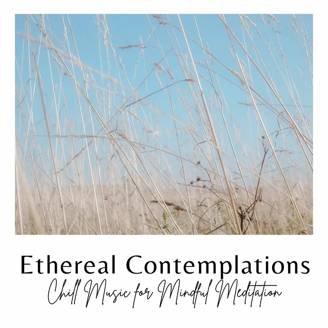 Suspended Ethereal Meditation