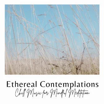 Ethereal Contemplations: Chill Music for Mindful Meditation by Emitrior