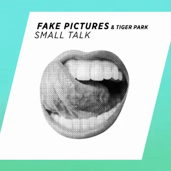 Small Talk by Fake Pictures