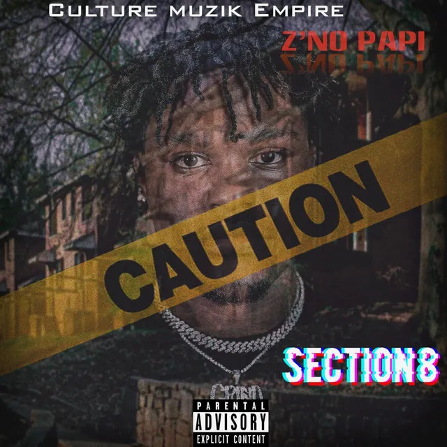 Section 8