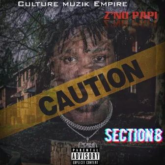 Section 8 by Z'nopapi