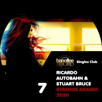 Strange Adagio 2020 by Stuart Bruce