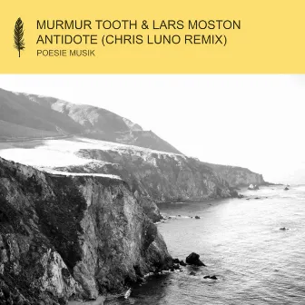 Antidote (Chris Luno Remix) by Murmur Tooth