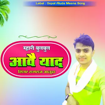 Mhari Bulbul Aave Yad (Hindi) by Ramraj Aluda