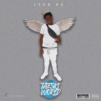 Taeski World by Leek H$