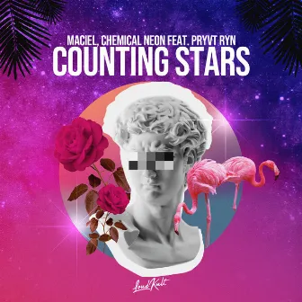 Counting Stars by Chemical Neon