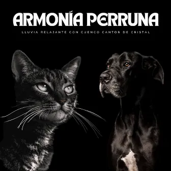 Armonía Perruna: Lluvia Relajante Con Cuenco Cantor De Cristal by Los chicos de la música del perro