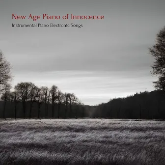 New Age Piano of Innocence: Instrumental Piano Electronic Songs by Idrissa Silita