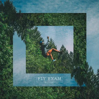 Fly Exam by JGivens