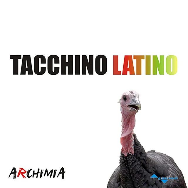 Il Tacchino Latino