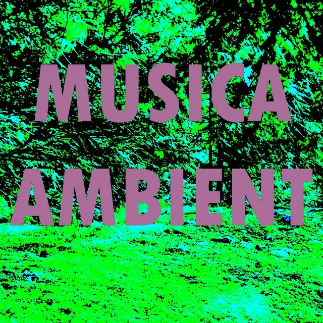 Musica Ambient