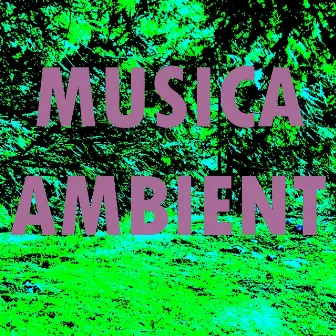 Musica Ambient by Unknown Artist