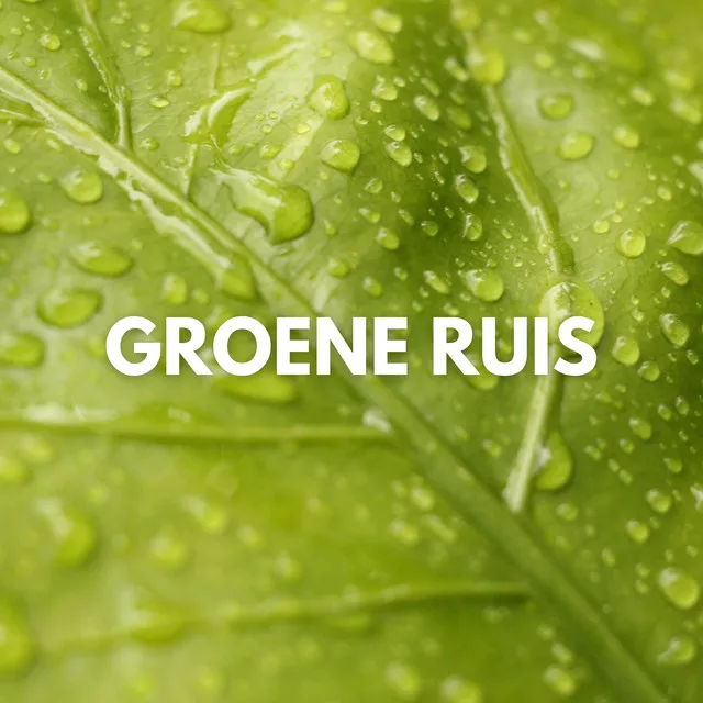 Groene Ruis Meditatie