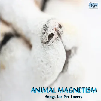 Animal Magnetism Vol. 1 by Animal Magnetism