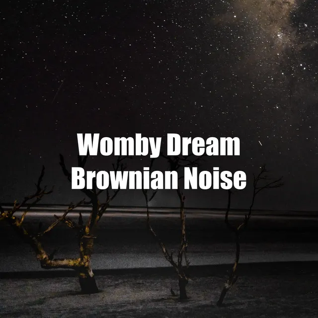 Womby Dream Brownian Noise