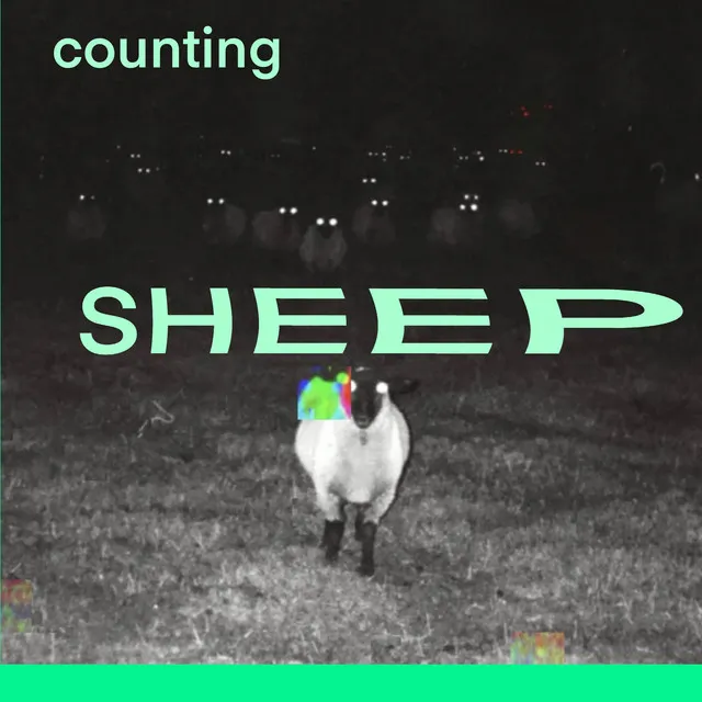 counting sheep