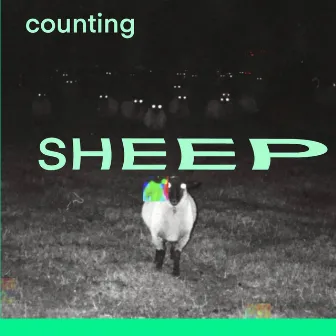 counting sheep by filenotfound