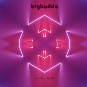 Meditation 245 by BigBudda