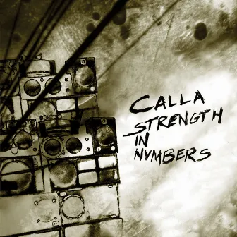 Strength In Numbers by Calla