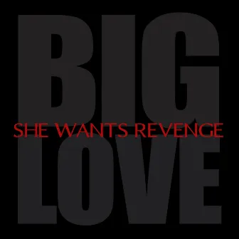 Big Love by She Wants Revenge