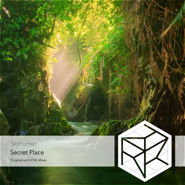 Secret Place - ViT4L Remix