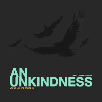 An Unkindness by Stig Christensen