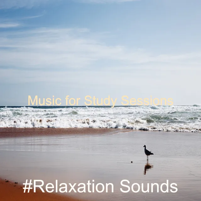 Music for Study Sessions