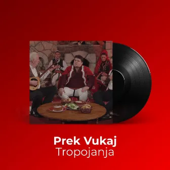 Tropojanja by Prek Vukaj