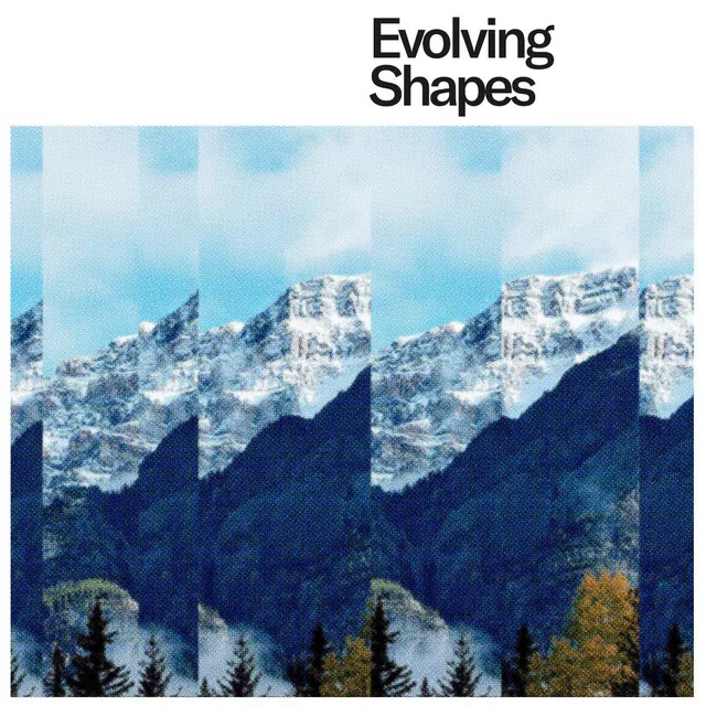 Evolving Shapes