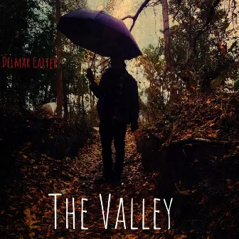 The Valley by Delmar Carter