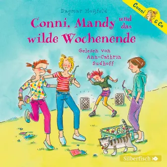 Conni & Co 13: Conni, Mandy und das wilde Wochenende by Dagmar Hoßfeld