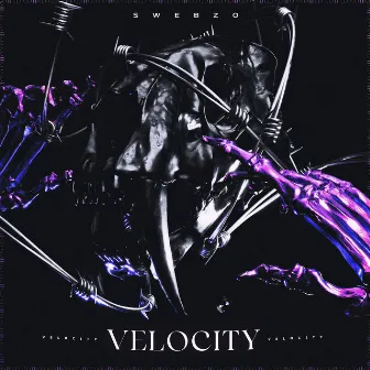 Velocity by S W E B Z O