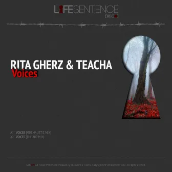 Voices by Rita Gherz