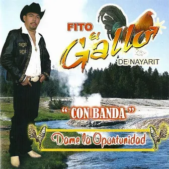 Dame La Oportunidad (Con Banda) by Fito El Gallo De Nayarit