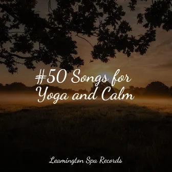 #50 Songs for Yoga and Calm by Active Baby Music Workshop