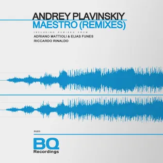 Maestro (Remixes) by Andrey Plavinskiy